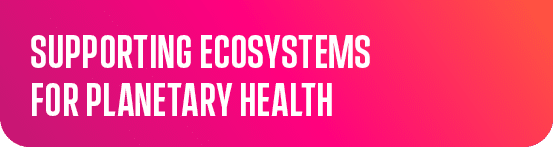 Supporting ecosystems for planetary health 